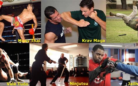 What Is the Strongest Martial Art: A Multi-Dimensional Analysis